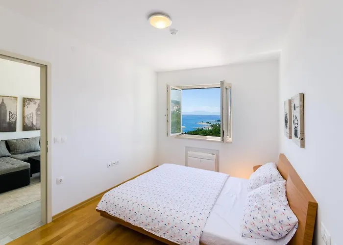 Amy Цриквеница